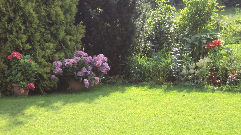 As Gosciniec Mikołajki Exterior foto
